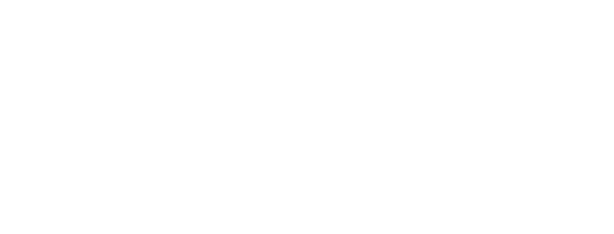 Premier Group Logo